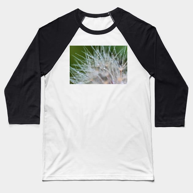 Water dew on Dandelion Baseball T-Shirt by jvnimages